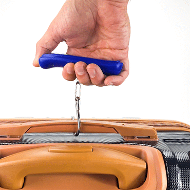 Compact Digital Luggage Scale with Durable Stainless Steel Hook for Easy Weighing - Rosetta Creative Boutique