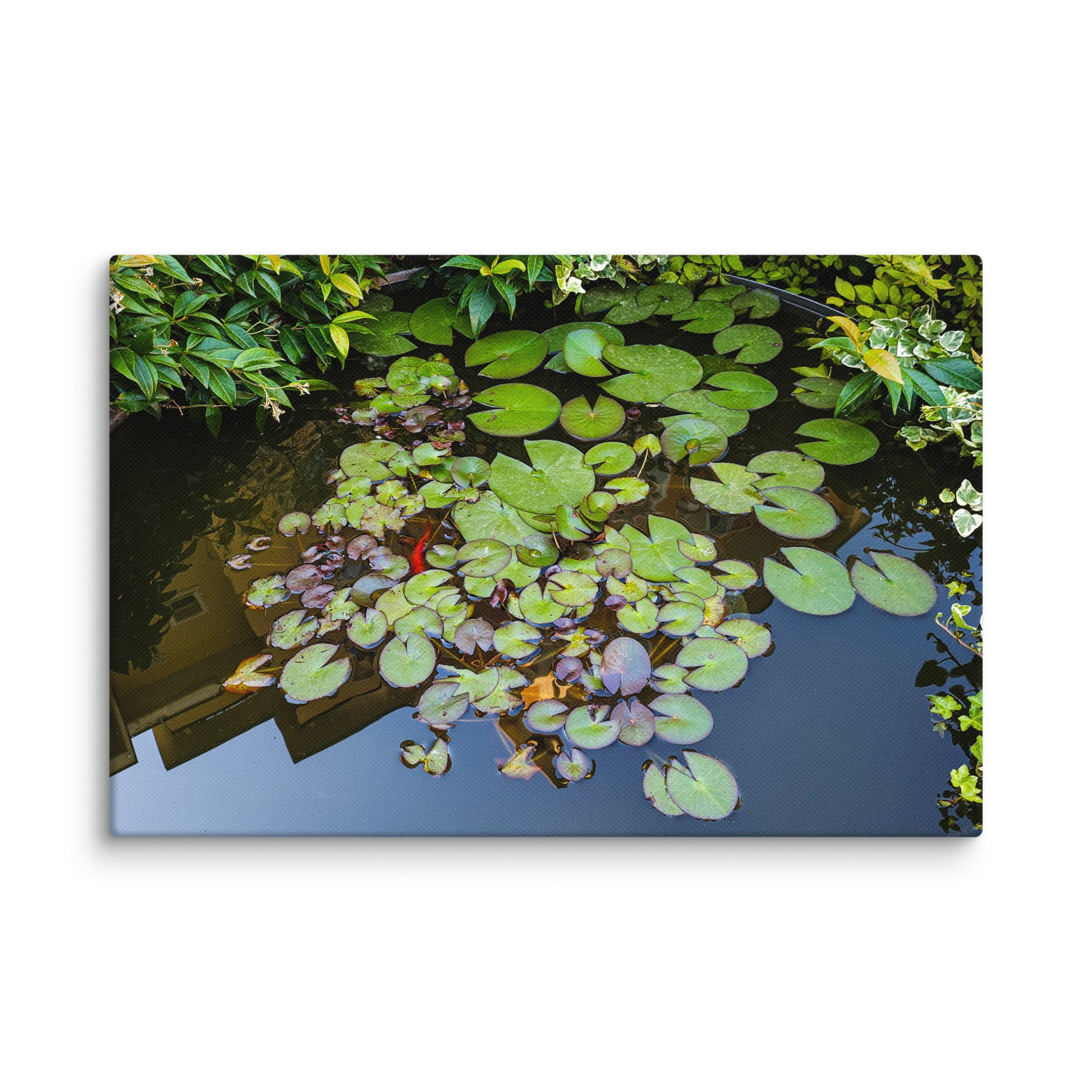 Canvas of a Pond and Lily Pads in Darfo Boario Terme Italy - Rosetta Creative Boutique