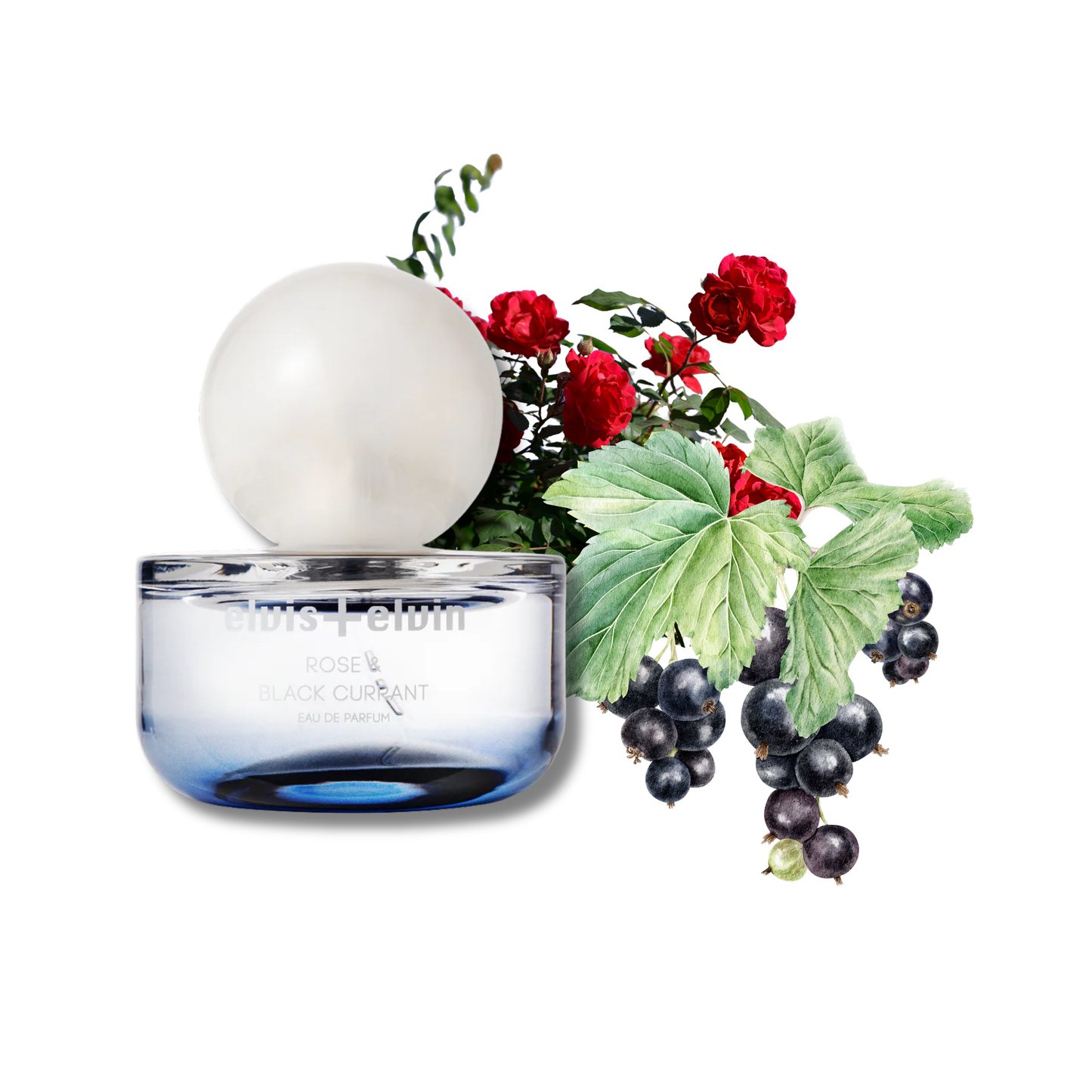Rose & Black Currant Eau de Parfum – elvis+elvin-3
