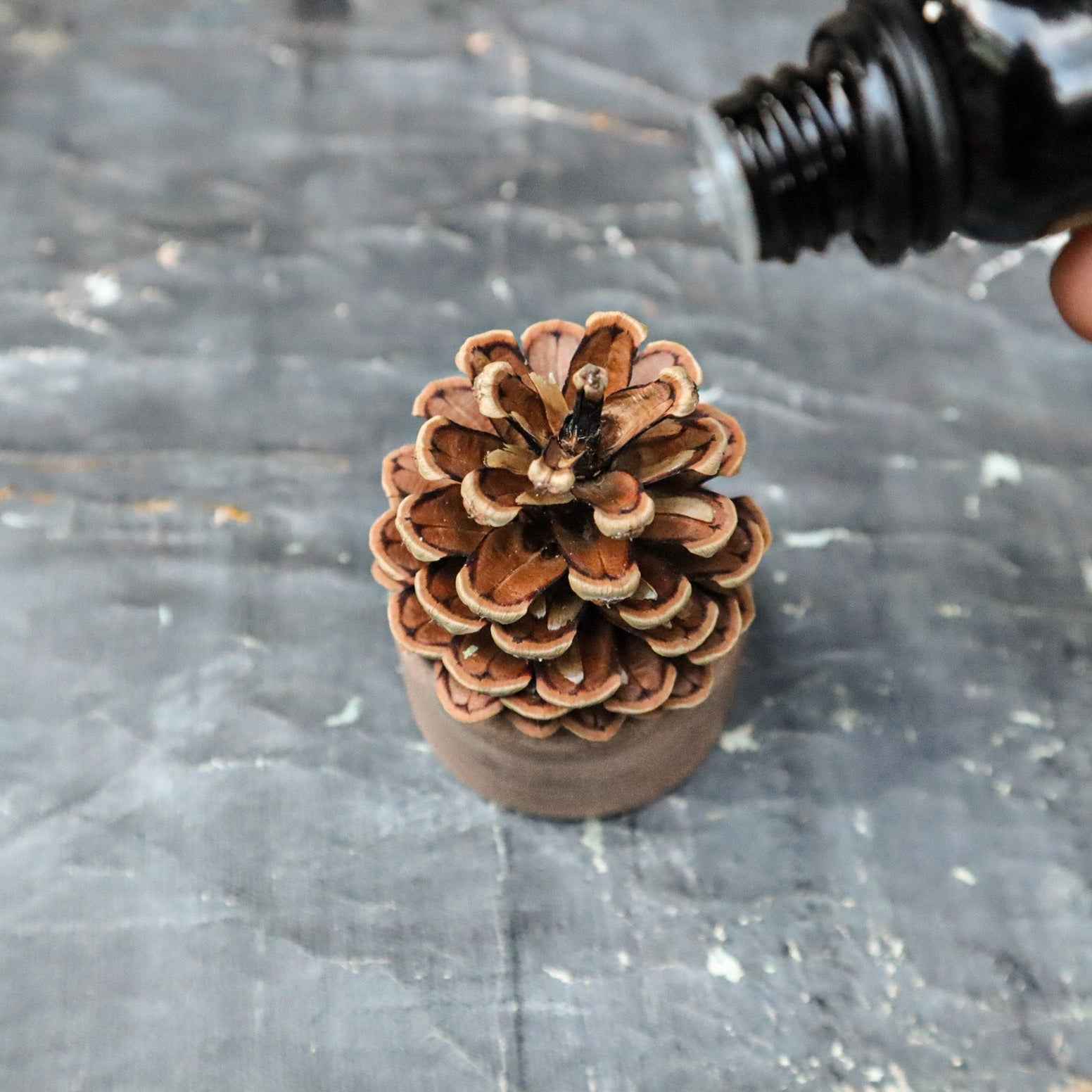 Pinecone Wooden Essential Oil Diffuser