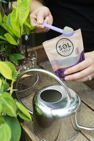 Sol Biotics Bundle Pack | Plant Spa Treatment