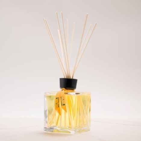 Idea Toscana Agrumi Citrus Scented Room Diffuser 250 ml