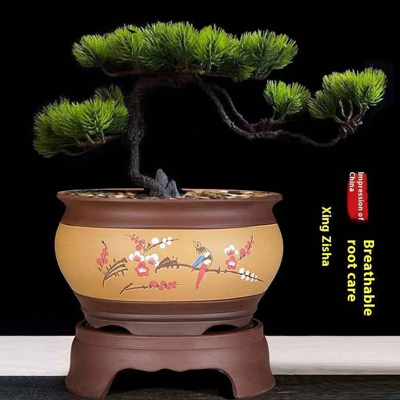Purple Sand Flower Pot Ceramic Pine Bonsai Garden Plant Pot