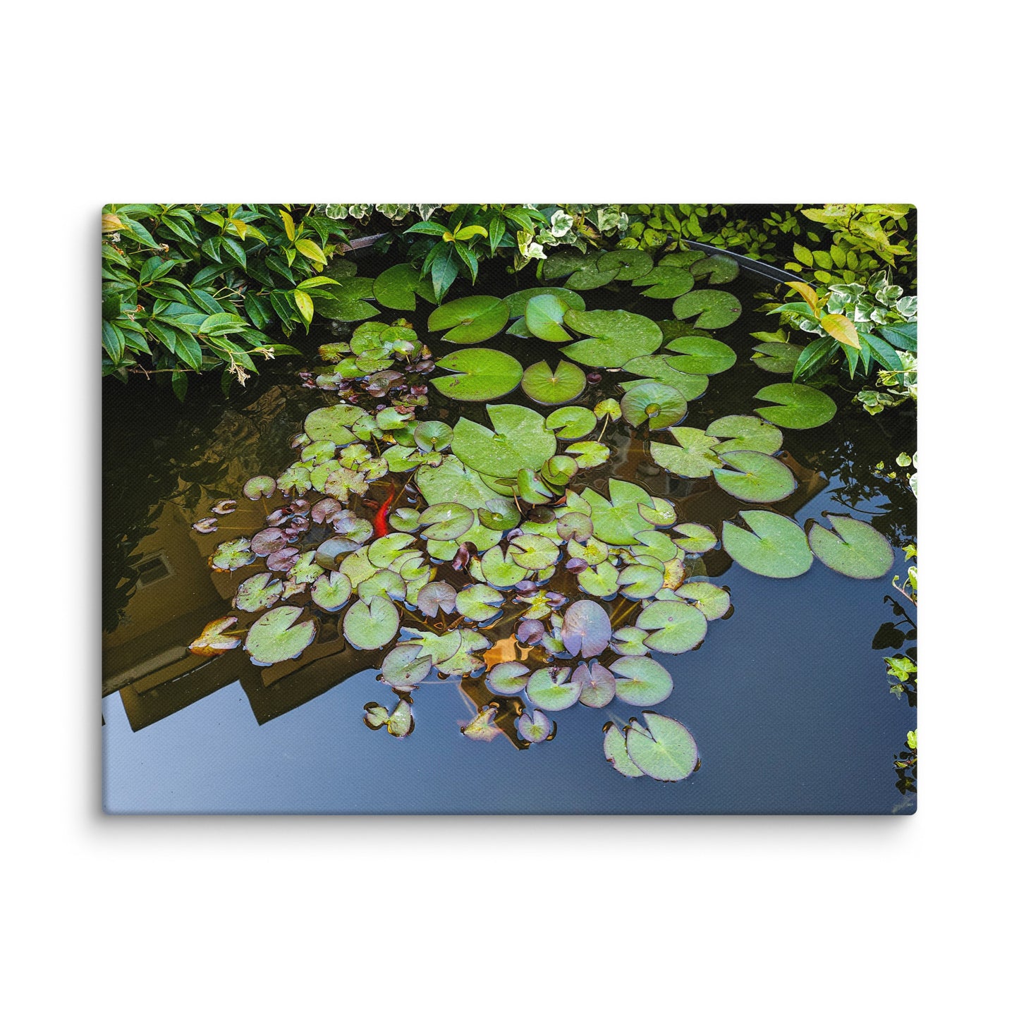 Canvas of a Pond and Lily Pads in Darfo Boario Terme Italy - Rosetta Creative Boutique