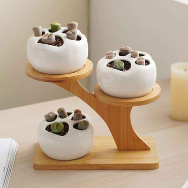 Bamboo Multi-layer Desktop Small Plant Stand Succulent Display