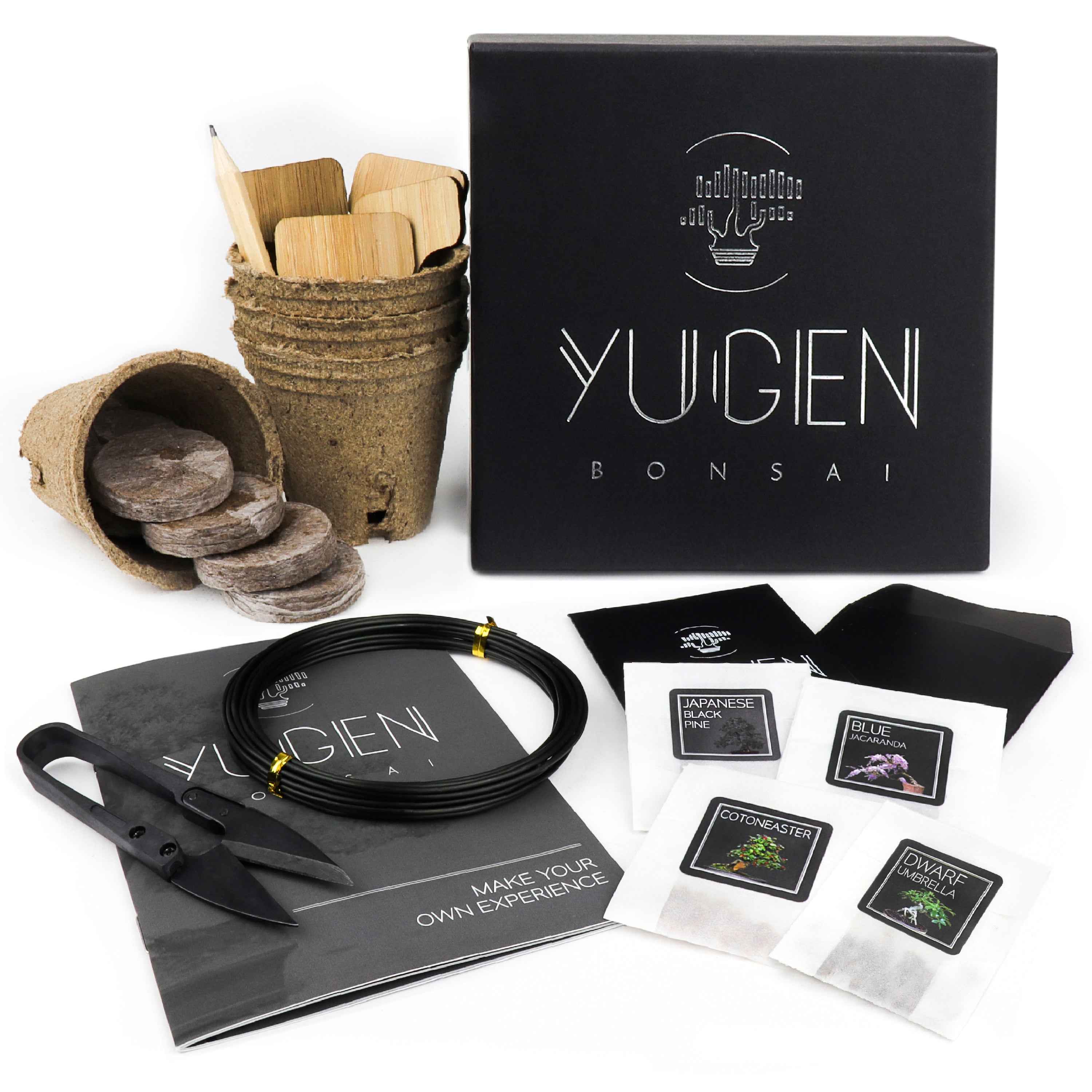 Starter Bonsai Seeds Kit – 4 Classic Species