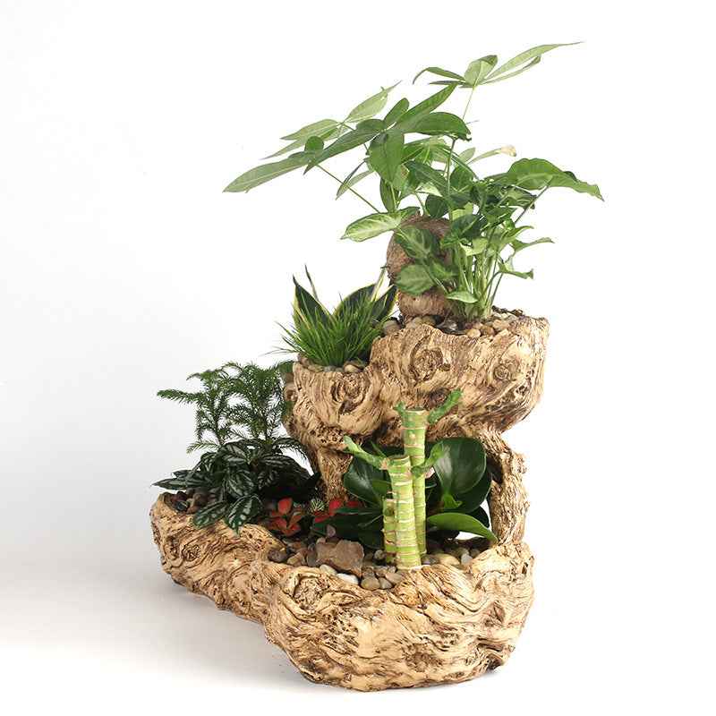 Resin Succulent Flower Pot Office Desktop