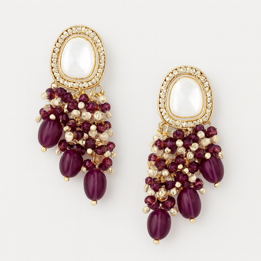 Elegant Earrings for Women-D04