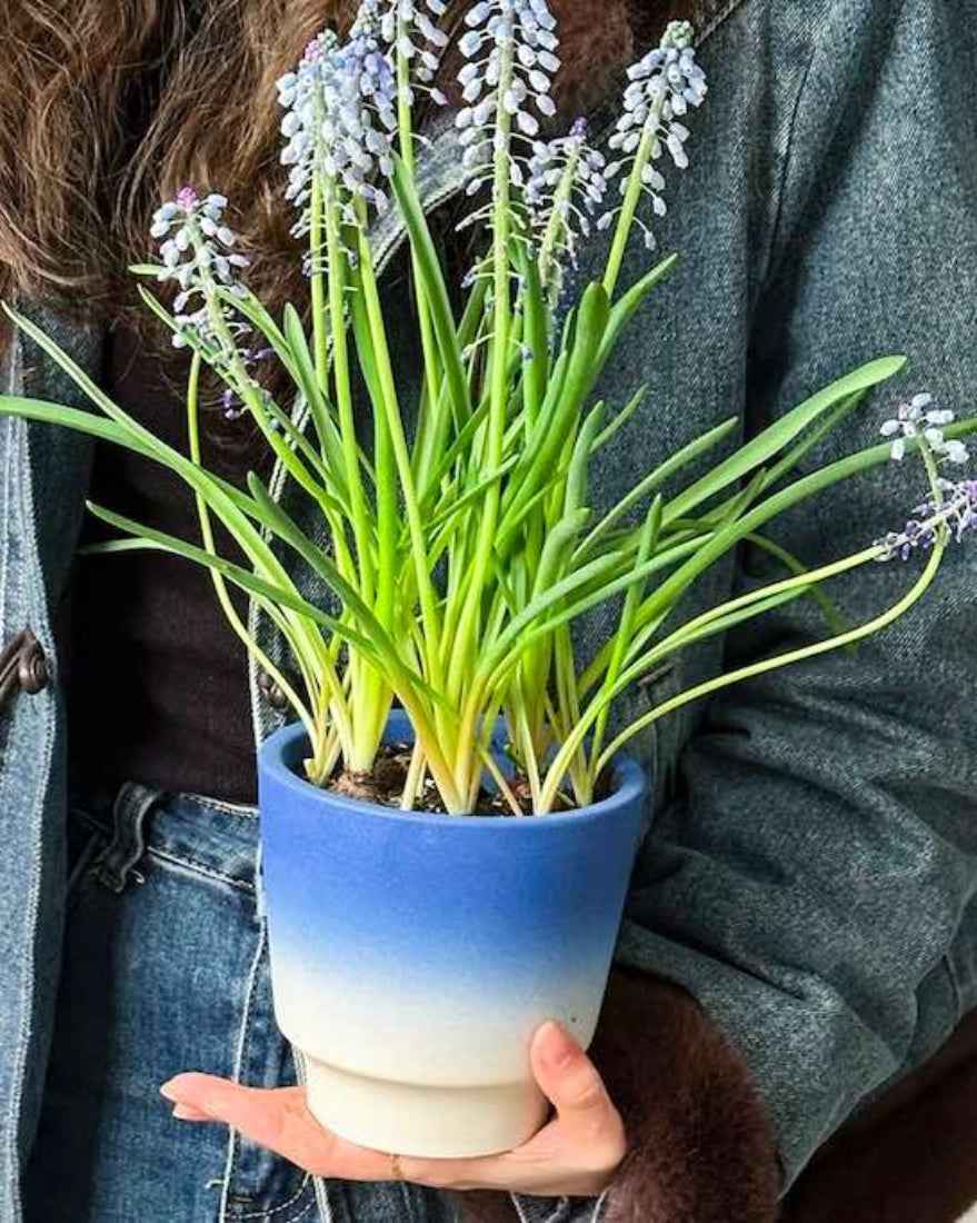 Handmade Macaron Flower Pots, Dopamine Indoor / Outdoor Garden Planter